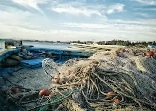 Fishing Nets
